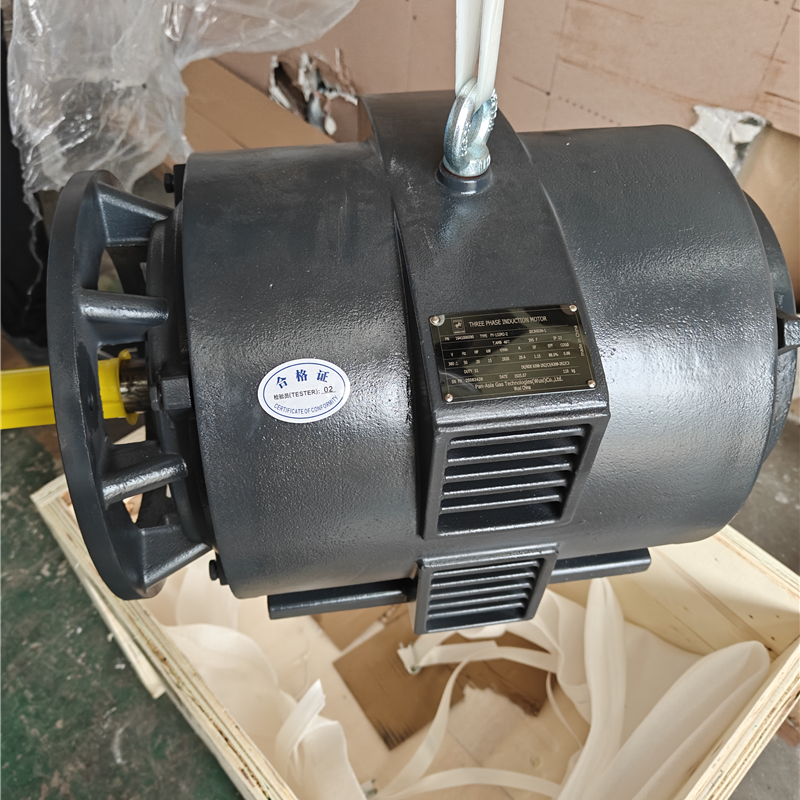 Motor