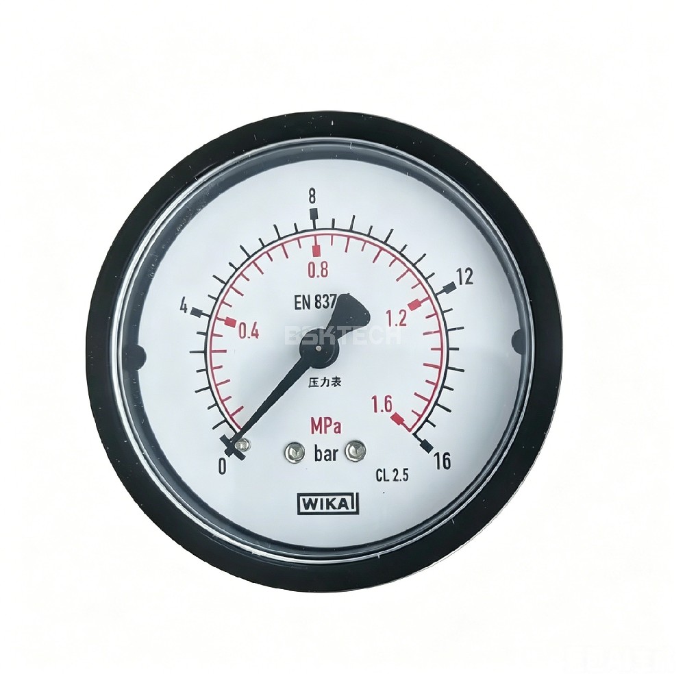 9090023900 PRESSURE GAUGE D63 0/16 1/4G